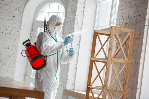 The Importance of Sanitizing and Disinfecting