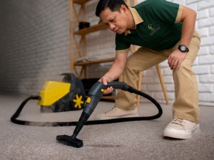 Carpet Cleaning