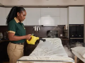 Mattress Cleaning